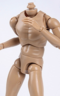 Caucasian Male Body